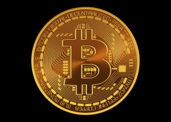 Earn Crypto Playing Games: The Path to Digital Wealth